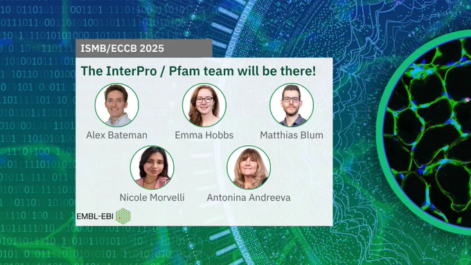 The InterPro/Pfam team members attending ISMB/ECCB 2025: Alex Bateman, Emma Hobbs, Matthias Blum, Nicole Morvelli, Antonina Andreeva
Image credit: BioImage Archive accession S-BSST584. 
Design credit: Karen Arnott/EMBL-EBI
