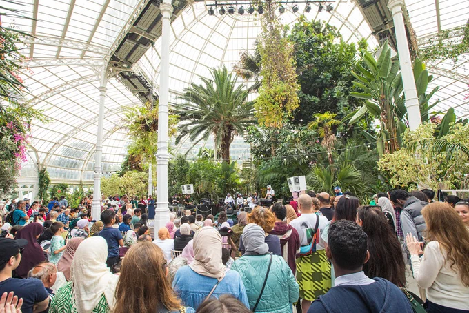 A lively event and performance taking place in Sefton Park Palm House.