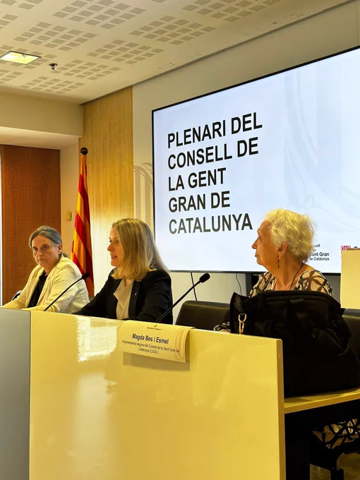 Plenari del Consell de la Gent Gran de Catalunya.