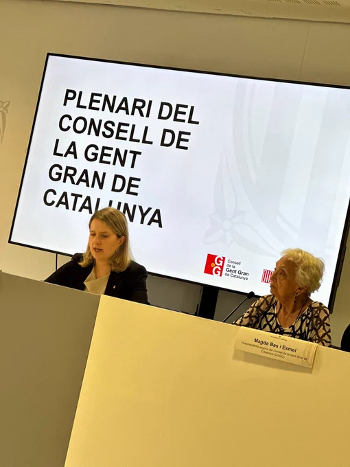 Plenari del Consell de la Gent Gran de Catalunya.