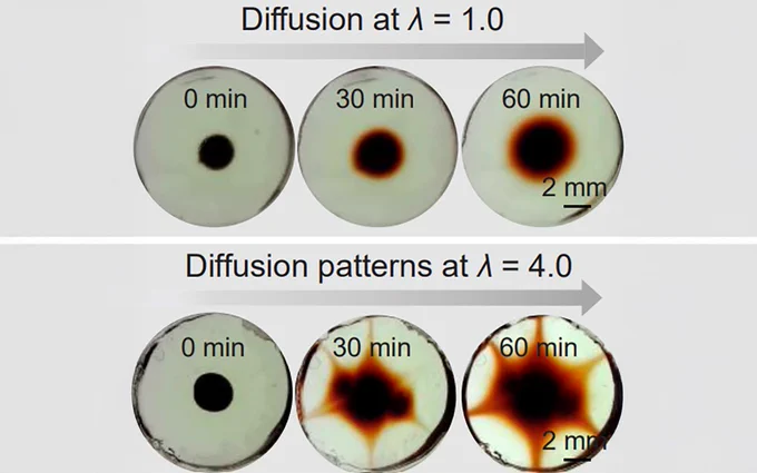 Two sets of images showcasing diffusion patterns at λ = 1.0 and λ = 4.0. Each set displays three petri dishes marked at different times: 0 minutes with a central dark spot, 30 minutes showing slight diffusion, and 60 minutes with notable spread of the spot, measured at 2 mm. The diffusion is more pronounced at λ = 4.0.