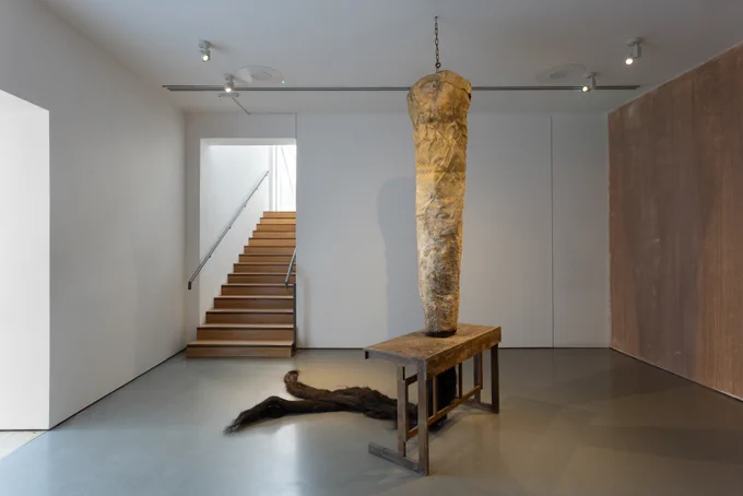 A large phallic structure hangs from the ceiling by a chain and feeds through an old wooden school desk, dark brown hair cascades out the bottom and runs along the floor.
