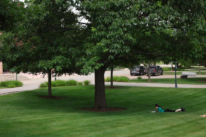 A student reads in the grass by a tree.