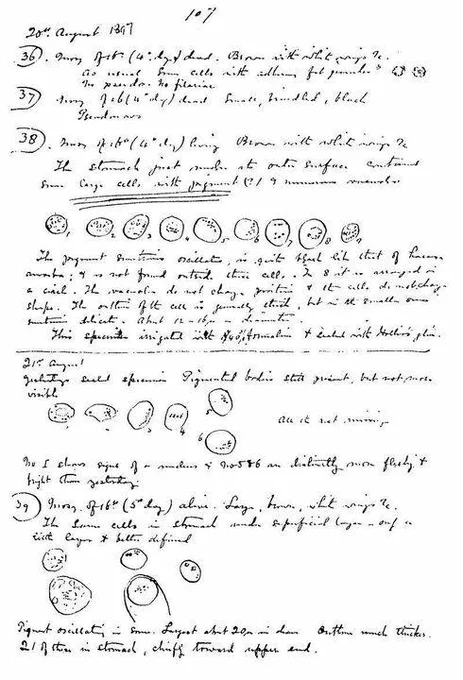 A page from Ronald Ross' notebook, you can see his writing and some small diagrams.