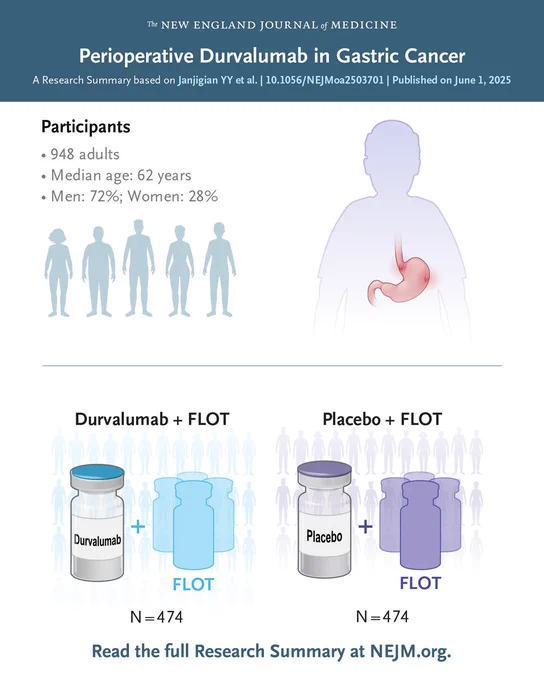 The New England Journal of Medicine               
Perioperative Durvalumab in Gastric Cancer 
A Research Summary based on Janjigian YY et al. | 10.1056/NEJMoa2503701 | Published on June 1, 2025 

Visual representations of the patients in the trial and the treatments they were assigned.                   

Read the full Research Summary at NEJM.org. 