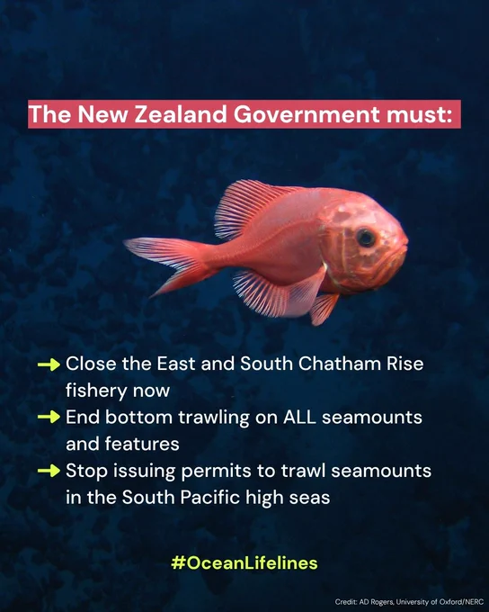 These are the demands for the New Zealand Government. Have your say by 28th July to save this species!