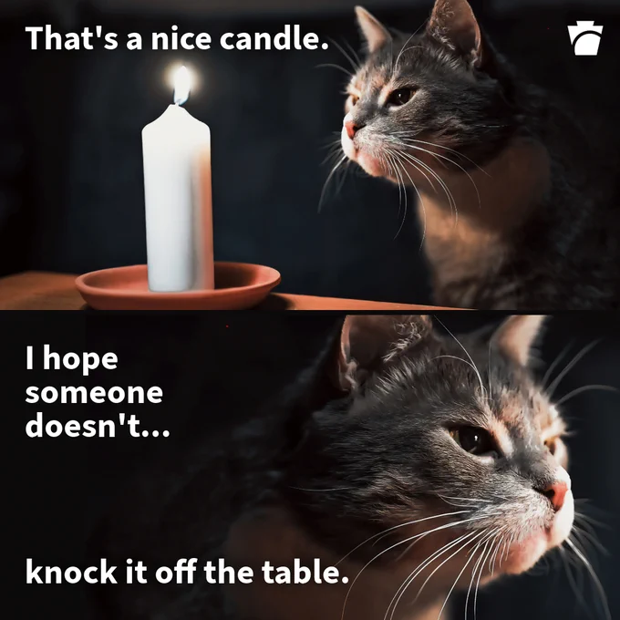 A meme of a lit candle sitting on a table with a cat staring at it. The cat first observes that it’s a nice candle. Then, it mischievously hopes someone doesn’t knock it off the table.