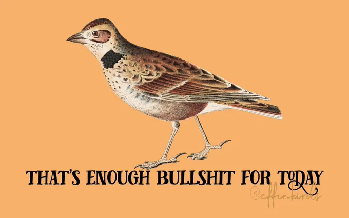 A painting of a bird beside the text "that's enough bullshit for today"