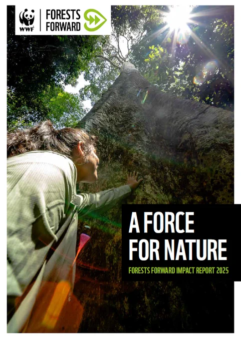 The cover of WWF's Forests Forward Impact Report