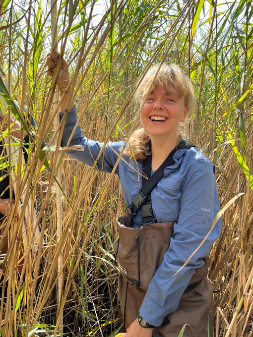  A young woman with long blonde hair stands in a wetland surrounded by tall brown and green reeds. She is wearing chest waders, holding one of the reeds and smiling at the camera.