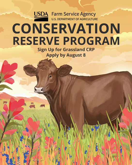 An illustration of a cow in a grassland with text, "USDA Farm Service Agency Conservation Reserve Program. Sign up for Grassland CRP. Apply by August 8."