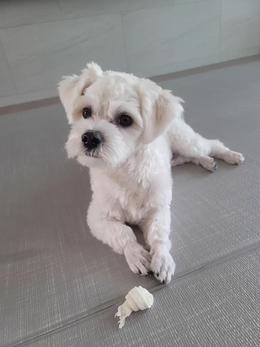 Maeumi