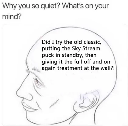 A meme of a head profile with the question "Why you so quiet? What's on your mind?". The inside of the head contains the text "Did I try the old classic, putting the Sky Stream puck in standby, then giving it the full off and on again treatment at the wall?!".