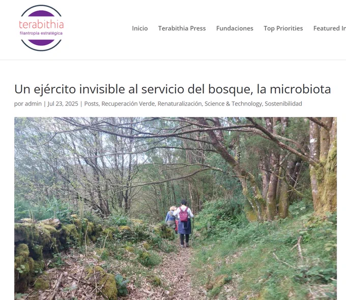Bajo la superficie de los bosques, lejos del alcance de la vista, actúa una comunidad microscópica que resulta decisiva para la vida de los árboles. Hongos, bacterias y otros microorganismos forman una red subterránea que nutre, protege y conecta al ecosistema forestal. Ahora, un nuevo informe científico del CSIC sitúa a esta microbiota como uno de los pilares invisibles pero imprescindibles de los bosques, y advierte que su deterioro podría comprometer la resiliencia ecológica frente al cambio climático, la pérdida de biodiversidad y la degradación del suelo.