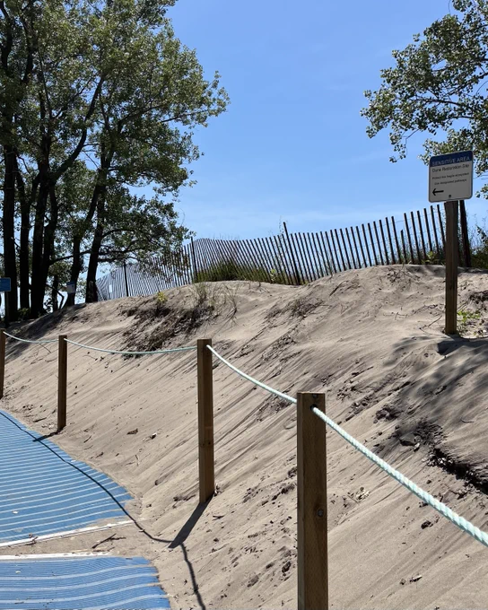 A sandy beach pathway with blue mats and a roped handlebar, surrounded by sand dunes and trees under a clear blue sky. On the right, a sign reads: "SENSITIVE AREA: Dune Restoration Site".