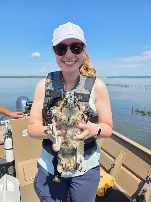A woman holding an osprey chick with large, dark eyes and downy feathers while standing in a boat. The water of a lake or bay is visible behind her. 