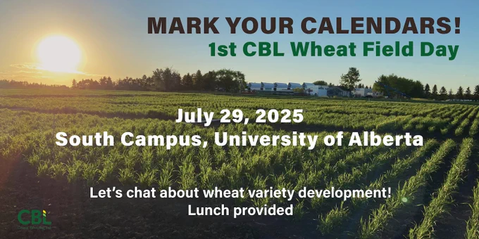 Promotional banner for 1st CBL Wheat Field Day on July 29, 2025, at South Campus, University of Alberta. Image shows a lush wheat field at sunset with text inviting to discuss wheat variety development, including lunch.