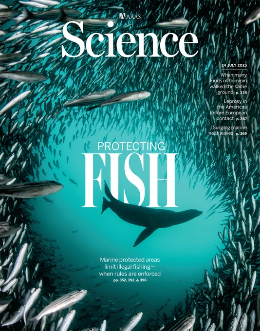 The Galapagos Islands, where a sea lion hunts salema fish