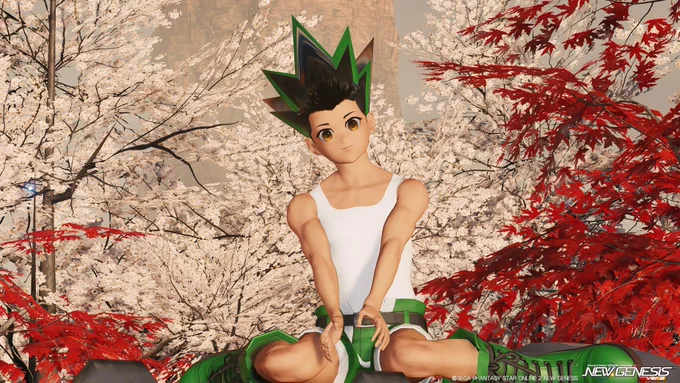 Made my HXH collection last year at the time I had never seen a gon or any of the characters im about to reveal, so I was really excited to bring it to the world of pso2. The hair designs and details in recreating the art styles are always the most difficult.