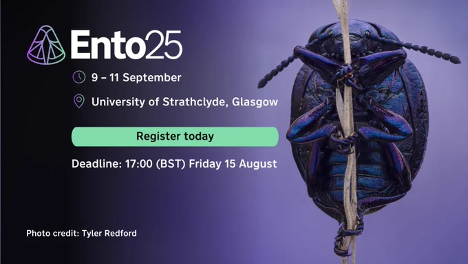 Close-up of a violet ground beetle gripping a thin twig against a purple background.

Ento25 Standard Deadline: 15 August 2025