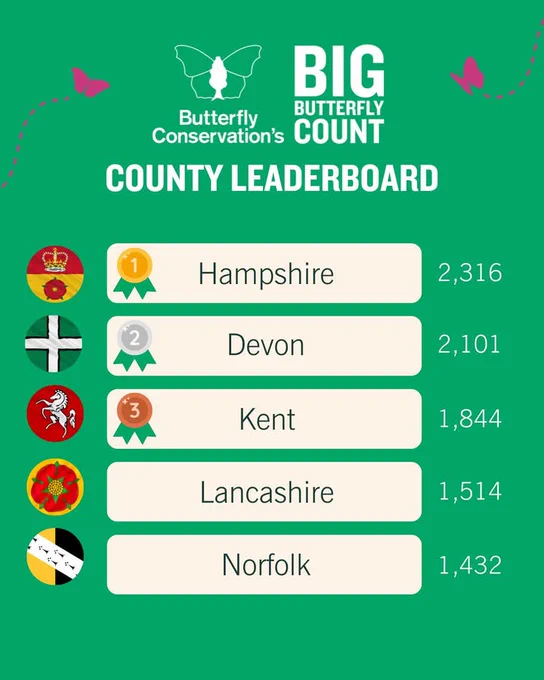 Butterfly Conservation's Big Butterfly Count County Leaderboard, featuring the top five counties with the most submitted counts. Hampshire in first with 2,316 counts, Devon in second with 2,101 counts, Kent in third with 1,844 counts, Lancashire in fourth with 1,514 counts, and Norfolk in fifth with 1,432 counts.