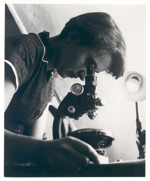 A photo of Rosalind Franklin using a light microscope. Image is from personal collection of Jenifer Glynn, via MRC Laboratory of Molecular Biology