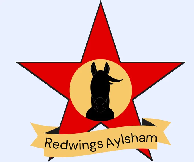 The picture is a graphic resembling a Hollywood Walk of Fame Star with an avatar of a pony's head in silhouette and the words Redwings Aylsham.