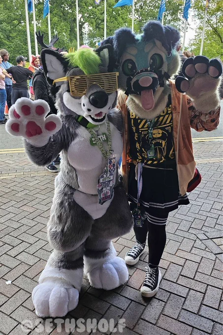 Photo of a grey and white wolf dog fursuit, with black ears and a green hair tuft, wearing a big plush green collar and sushi lanyard with name badges on, all of which say "Seth".
They're standing next to a blue and white canine fursuit partial with a black and yellow outfit, featuring a skirt and converse shoes. They are both waving at the camera.

The text in the bottom left says "@SethSholf".