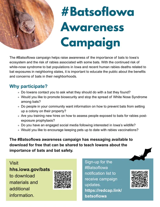 Promotional flyer for #BatsforIowa campaign, highlighting the importance of bats in controlling pests and protecting crops. Includes bullet points on how individuals can help, a QR code for more information, and details on a sign-up for notifications via "http://cdclistgo.info/redirect.link/batsforiowa". Features bat graphics and a call to action to visit "iowa.gov/bats" for more details.