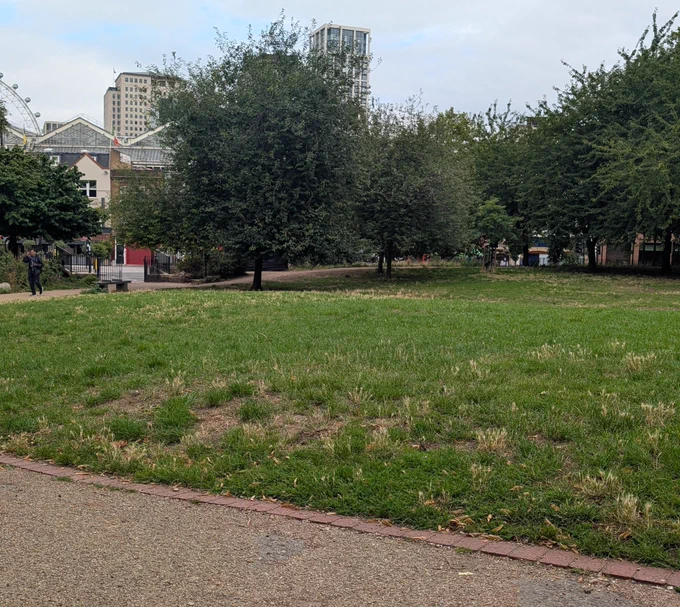 Park with buildings in background, large big wheel with oval shaped pods in top left