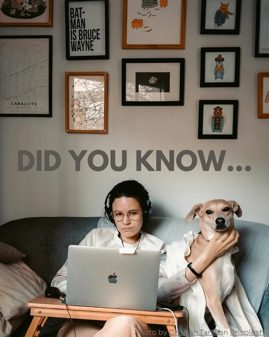 Person wearing glasses using a laptop with a dog sitting beside them in a cozy room decorated with framed artworks, including a Batman poster. Text overlay reads 'DID YOU KNOW...'. Photo by Coleman Tarpley on Unsplash.