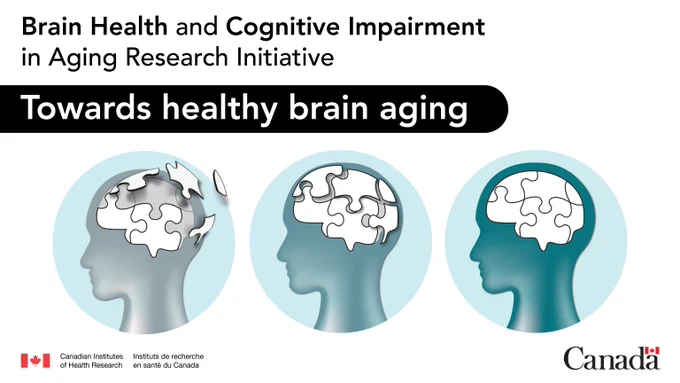 Brain health and cognitive impairment in aging research initiative - Towards healthy brain aging