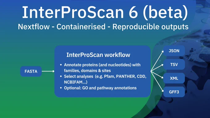 InterProScan 6 (beta)
Nextflow - Containerised - Reproducible outputs  
Start with FASTA file
InterProScan workflow:
Annotate proteins (and nucleotides) with families, domains & sites
Select analyses  (e.g. Pfam, PANTHER, CDD, NCBIFAM...)
Optional: GO and pathway annotations
Output formats: JSON, TSV, XML, GFF3