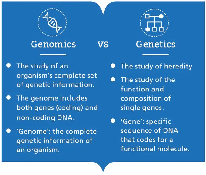 Comparison chart explaining genomics as the study of an organism's complete genetic information including coding and non-coding DNA, versus genetics focusing on heredity and single gene functions.