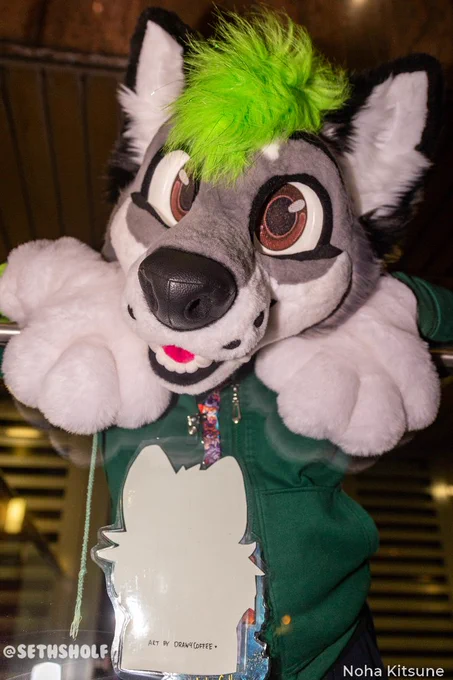 Photo of a grey and white canine fursuit, with black ears and a tuft of green hair. They're looking down at the viewer and are wearing a green hoodie. The text in the bottom left says "@SethSholf", the right (photographer name) "Noha Kitsune".