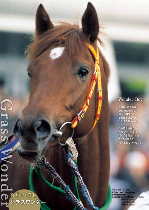 https://www.jra.go.jp/gallery/column/syouzou/2017.html
