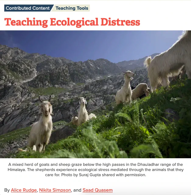 Screen shot of the series title in orange, and below the series image, depicting "A mixed herd of goats and sheep graze below the high passes in the Dhauladhar range of the Himalaya. The shepherds experience ecological stress mediated through the animals that they care for. Photo by Suraj Gupta shared with permission."