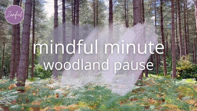 Tall pine trees and green ferns in soft focus. Overlay text reads “mindful minute – woodland pause” in white over a watercolour wash, with a small Zenful logo top left.