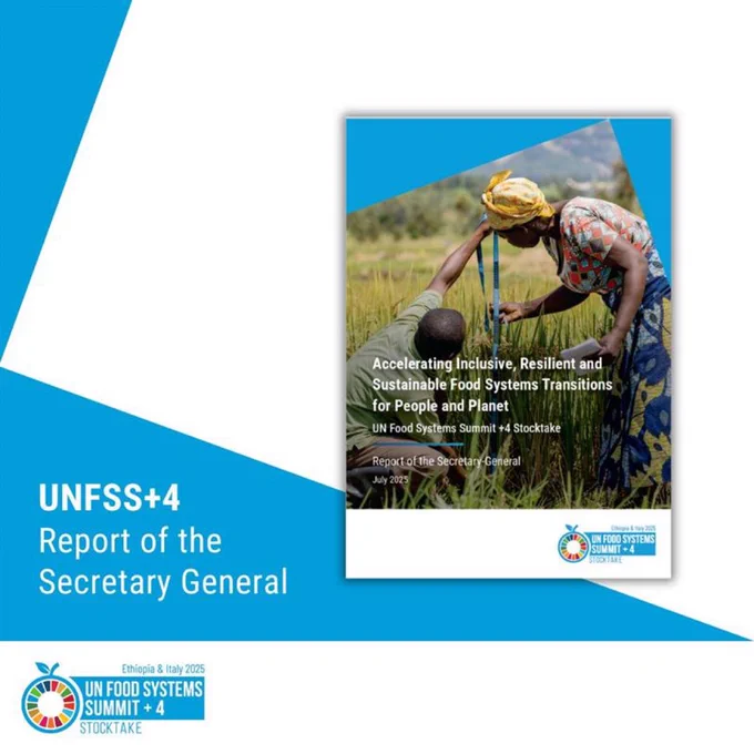 Cover of the UN Food Systems Summit  4 Stocktake report. The image shows two people working together in a field, one bending down and the other reaching out, symbolizing collaboration in agriculture. The report is titled "Accelerating Inclusive, Resilient and Sustainable Food Systems Transitions for People and Planet." The design features blue and white colors, with the UN Food Systems Summit  4 logo and the event details: Ethiopia, 28 July 2025.