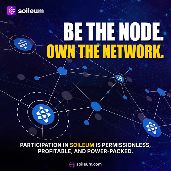 A connected web of Soileum nodes showcasing decentralized ownership and network power.
