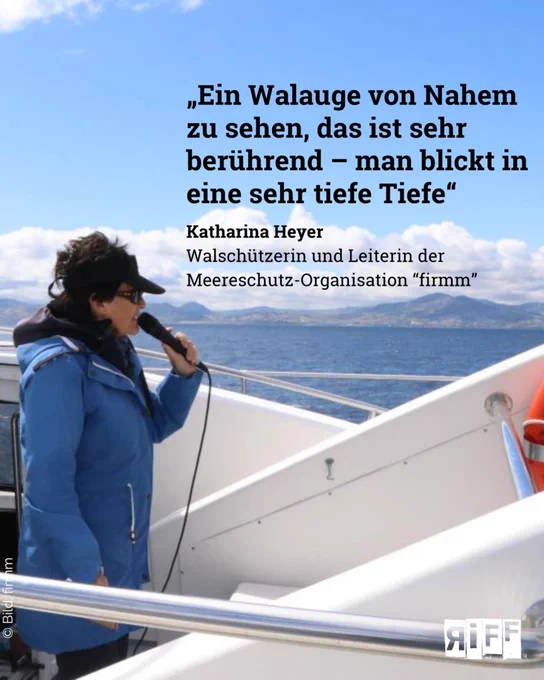 Auf einem weißen Boot im blauen Meer steht eine Frau mit Mikrofon in der Hand. Text: „Ein Walauge von Nahem zu sehen, das ist sehr berührend – man blickt in eine sehr tiefe Tiefe“ – tharina HeyerWalschützerin und Leiterin der Meereschutz-Organisation “firmm”