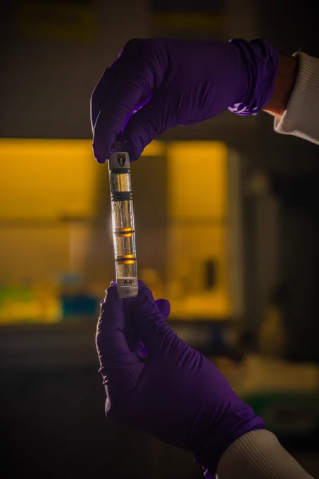 A test tube filled with wort and yeast that will ferment the first beer in space. Credit: Jaguar Space/Ivan Castro Guatemala