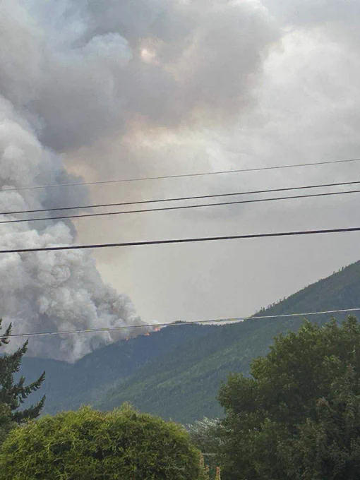 A large column of smoke billows from a forested hillside with powerlines in the foreground