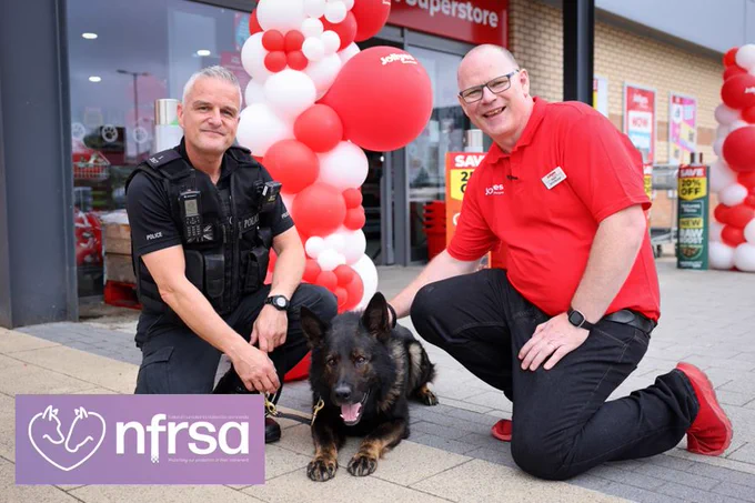 PD Odin and his handler in front of a pet shop with a member of staff. Odin is a GSD and is lying on the floor looking straight ahead.
