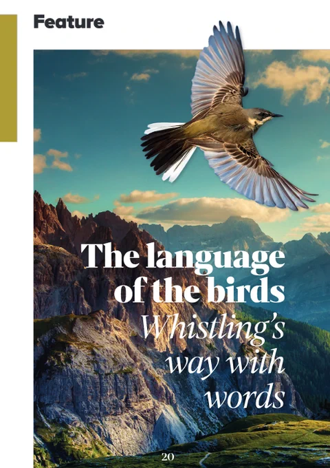 Babel article: The language of the birds