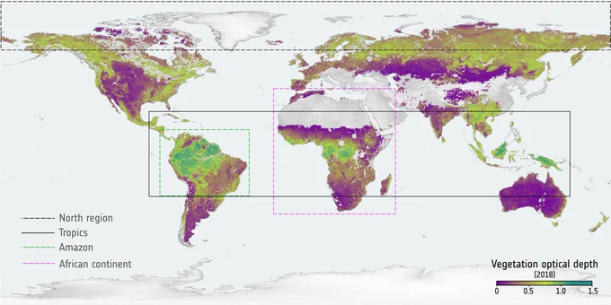 Global map of vegetation optical depth, 2018.