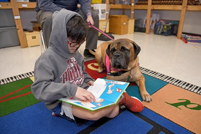 A Boone County Schools student reads to a dog during a literacy event. Photo: Barbara Brady