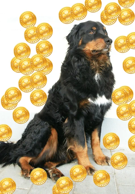 CC-BY-SA, derivative from commons.wikimedia, authors Böhringer for the Berner and Antonu for the coin