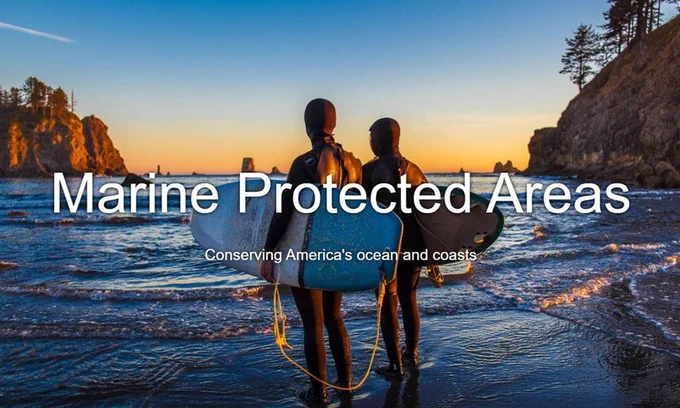 Surfers on the coast of Marine Protected Area