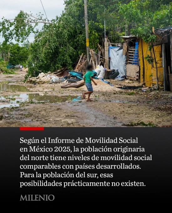 Movilidad social en México 2025.
